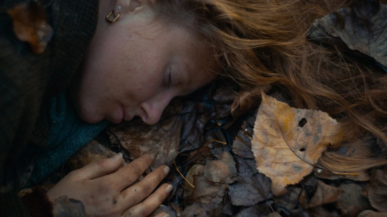 فيلم Trifole 2024 مترجم